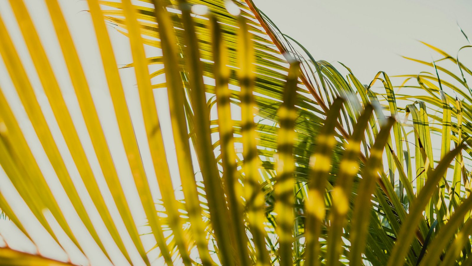 Radio-interview Huidfonds op Eemland 1